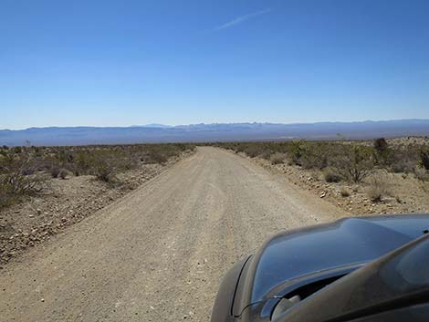 Christmas Tree Pass Road