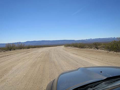 Christmas Tree Pass Road