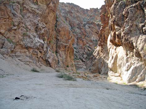 grapevine canyon