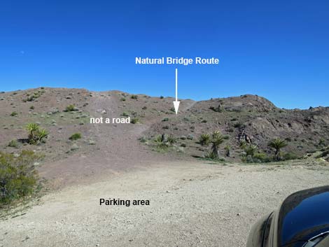 Natural Bridge Road
