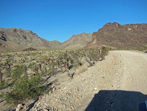 Rockefeller Mine Road