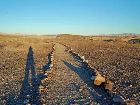 Wetlands Trailhead