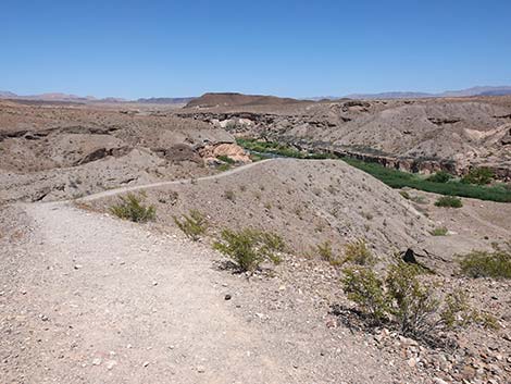 wetlands trail