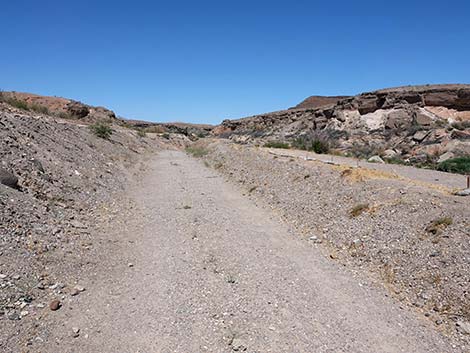 Wetlands Trail