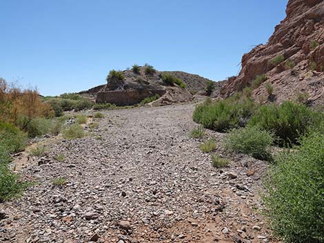 Wetlands Trail