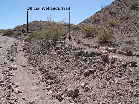 Wetlands Trail