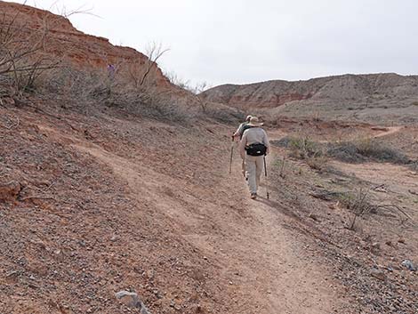 White Owl Canyon