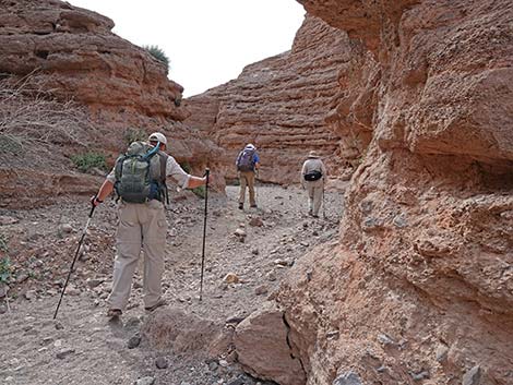 White Owl Canyon