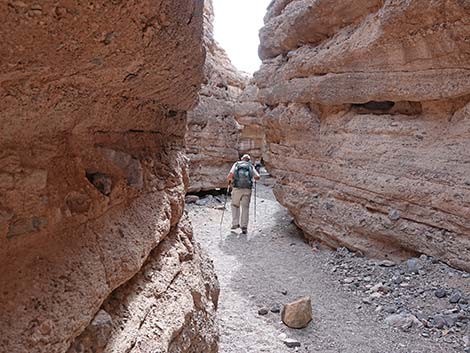 White Owl Canyon