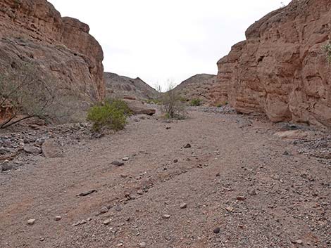 White Owl Canyon