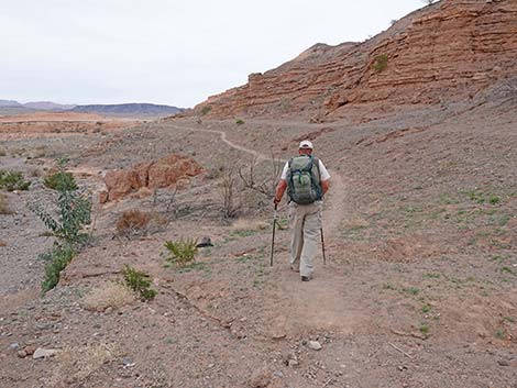 White Owl Canyon