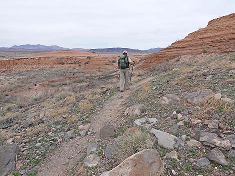 White Owl Canyon