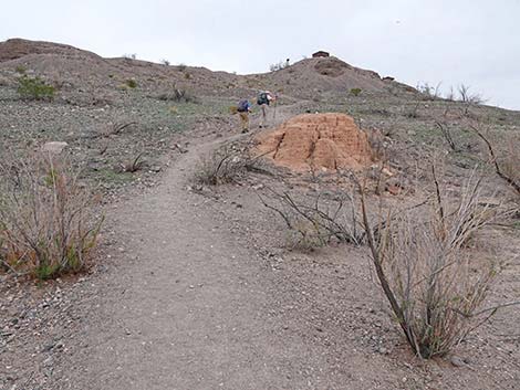 White Owl Canyon