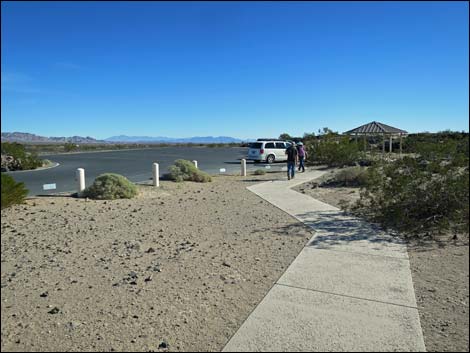 Amboy Crater