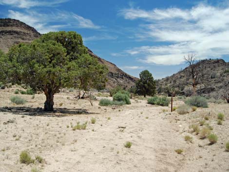 Mid Hills to Hole-in-the-Wall Trail