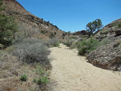 Mid Hills to Hole-in-the-Wall Trail