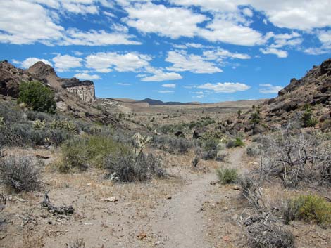 Barber Loop Trail