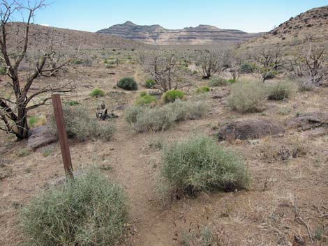 Barber Loop Trail