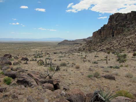 Barber Loop Trail