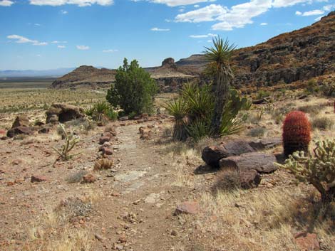 Barber Loop Trail