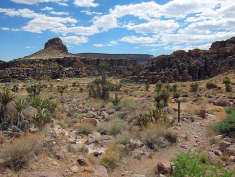 Barber Loop Trail