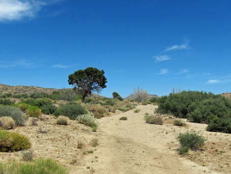 Barber Loop Trail