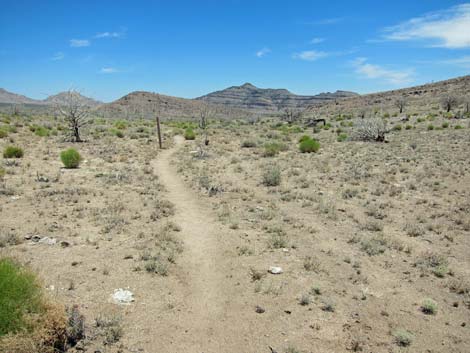 Barber Loop Trail