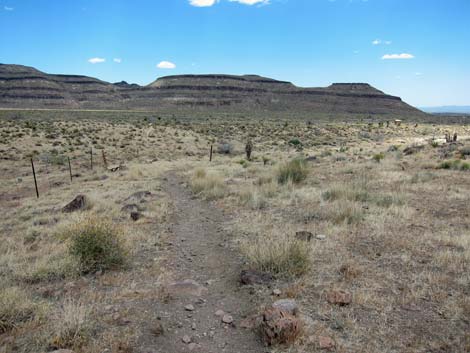 Barber Loop Trail