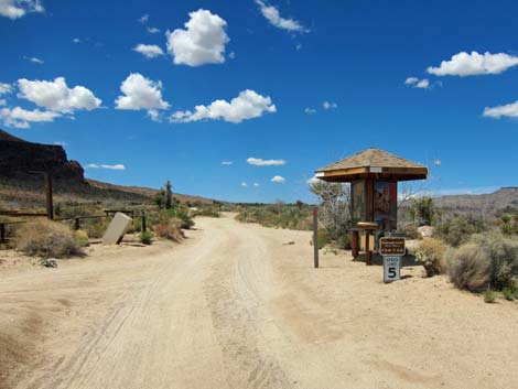 Cactus Garden Loop Trail