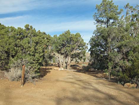 Mid Hills Campground