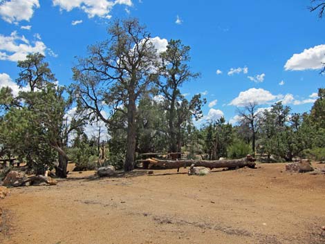 Mid Hills Campground