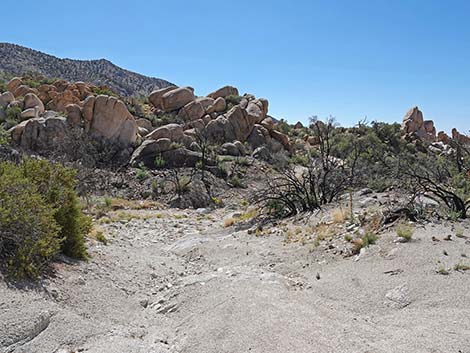 Caruthers Canyon