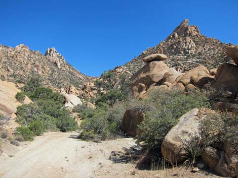 Caruthers Canyon