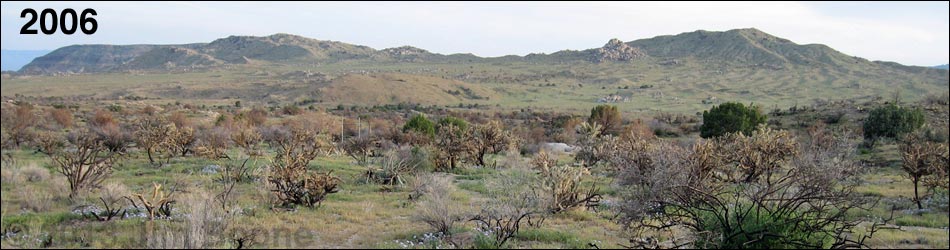 Hole-in-the-Wall to Mid Hills Trail