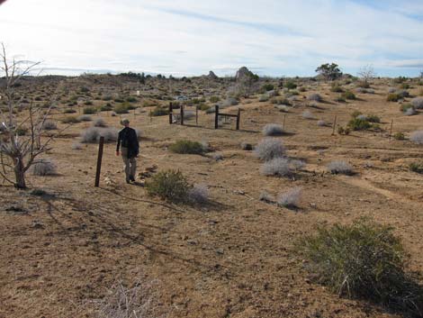 Hole-in-the-Wall to Mid Hills Trail