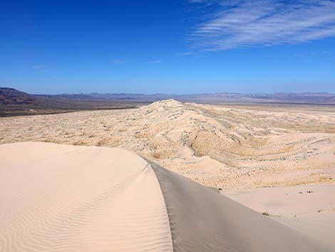 Kelso Dunes