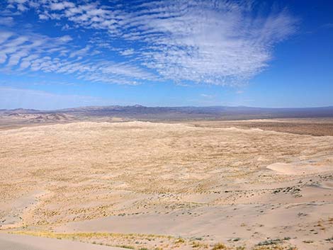 Kelso Dunes