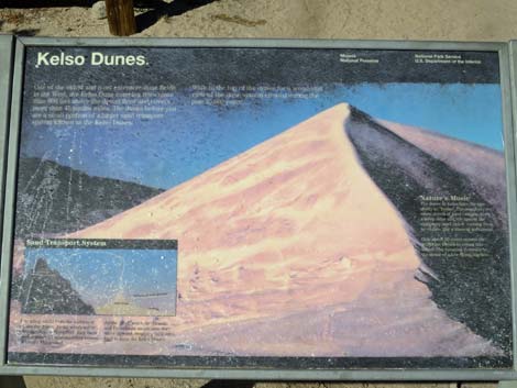 Kelso Dunes