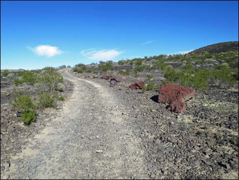 Lava Tube