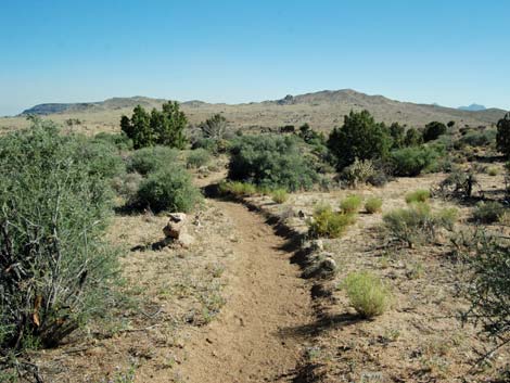 Mid Hills Loop Trail