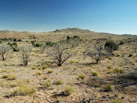 Mid Hills Loop Trail