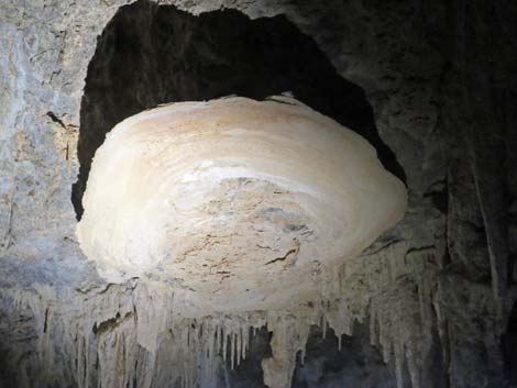 Mitchell Caverns Trail