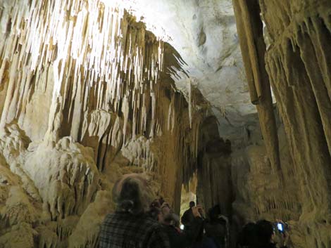 Mitchell Caverns Trail