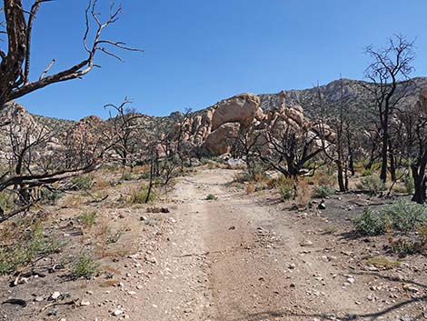 Caruthers Canyon Road