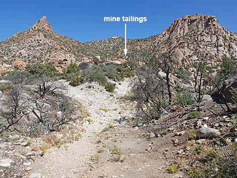 Caruthers Canyon Road