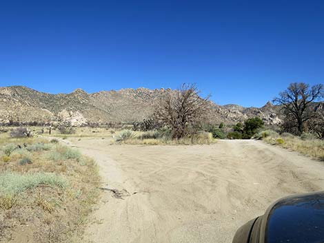 Caruthers Canyon Road