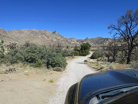 Caruthers Canyon Road