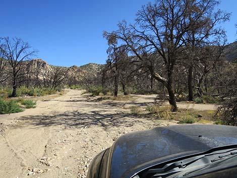 Caruthers Canyon Road