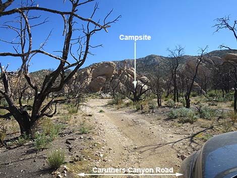 "Stone Table" campsite; Caruthers Canyon