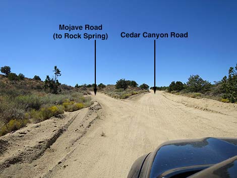 Cedar Canyon Road